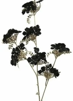 Countryfield Kunsttak Hydrangea zwart Clearance
