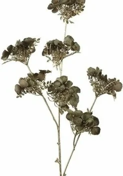 Countryfield Kunsttak Hydrangea bruin Clearance