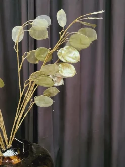 Countryfield Kunsttak Lunaria biennis L - bruin of groen