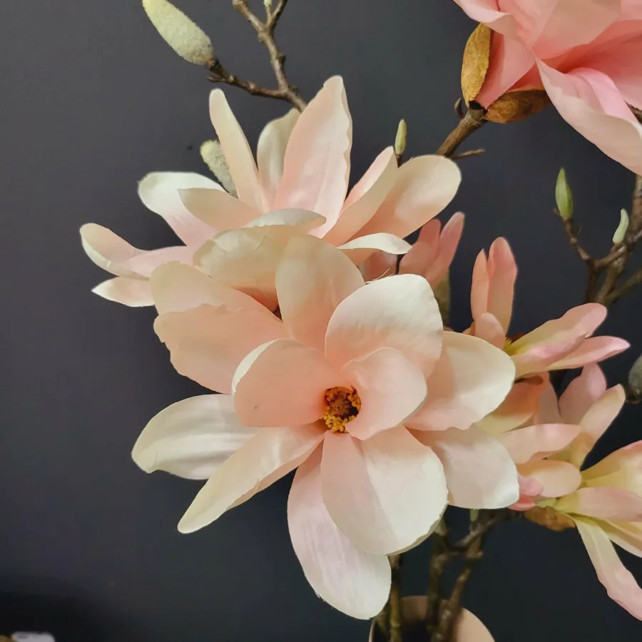 Countryfield Kunsttak Magnolia Chayca L roze Discount