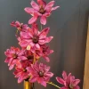 Countryfield Kunsttak Magnolia donkerroze / goud Discount