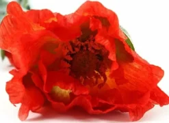 Countryfield Kunsttak Papaver Jodie oranje Online