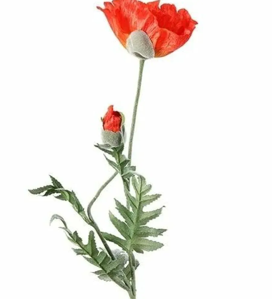 Countryfield Kunsttak Papaver Jodie oranje Online