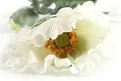 Countryfield Kunsttak Papaver Jodie wit Best