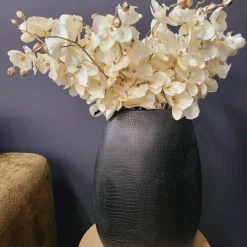 Countryfield Kunsttak Phalaenopsis crème Outlet