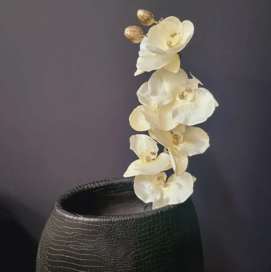 Countryfield Kunsttak Phalaenopsis crème Outlet