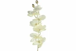 Countryfield Kunsttak Phalaenopsis crème Outlet