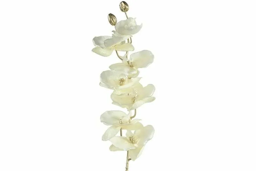 Countryfield Kunsttak Phalaenopsis crème Outlet