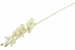 Countryfield Kunsttak Phalaenopsis crème Outlet
