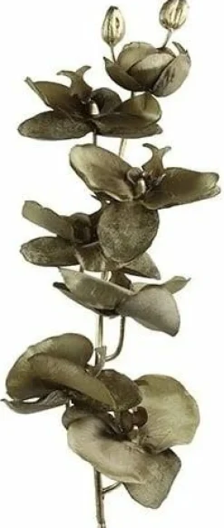 Countryfield Kunsttak Phalaenopsis bruin Online