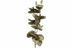 Countryfield Kunsttak Phalaenopsis bruin Online