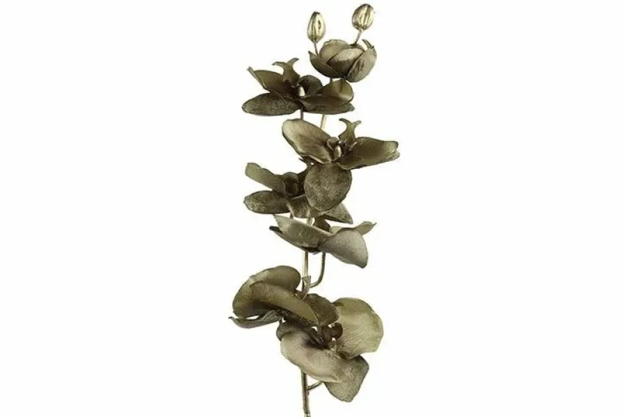 Countryfield Kunsttak Phalaenopsis bruin Online