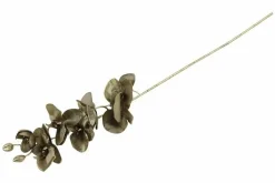Countryfield Kunsttak Phalaenopsis bruin Online
