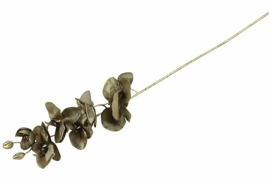 Countryfield Kunsttak Phalaenopsis bruin Online