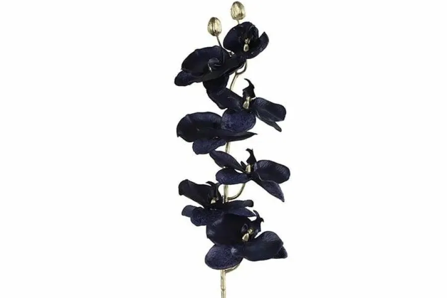 Countryfield Kunsttak Phalaenopsis donkerblauw Sale