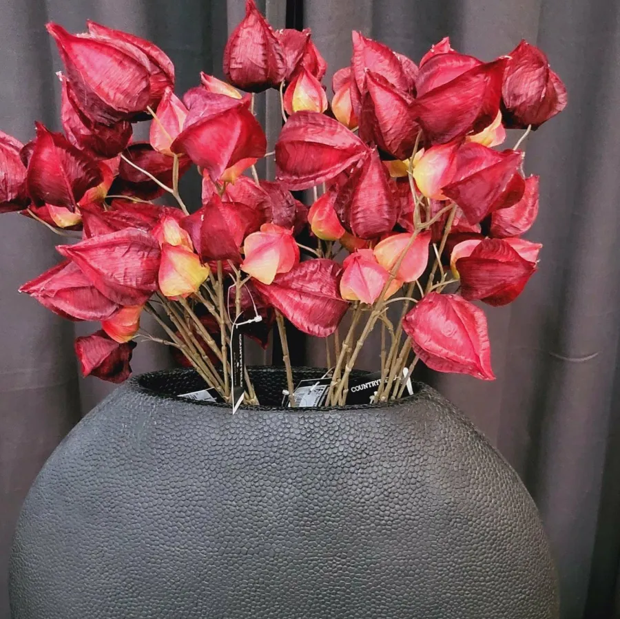 Countryfield Kunsttak Physalis vuur rood Best