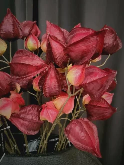 Countryfield Kunsttak Physalis vuur rood Best