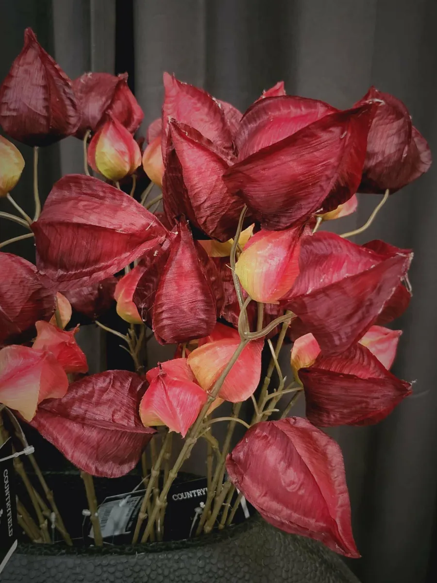 Countryfield Kunsttak Physalis vuur rood Best