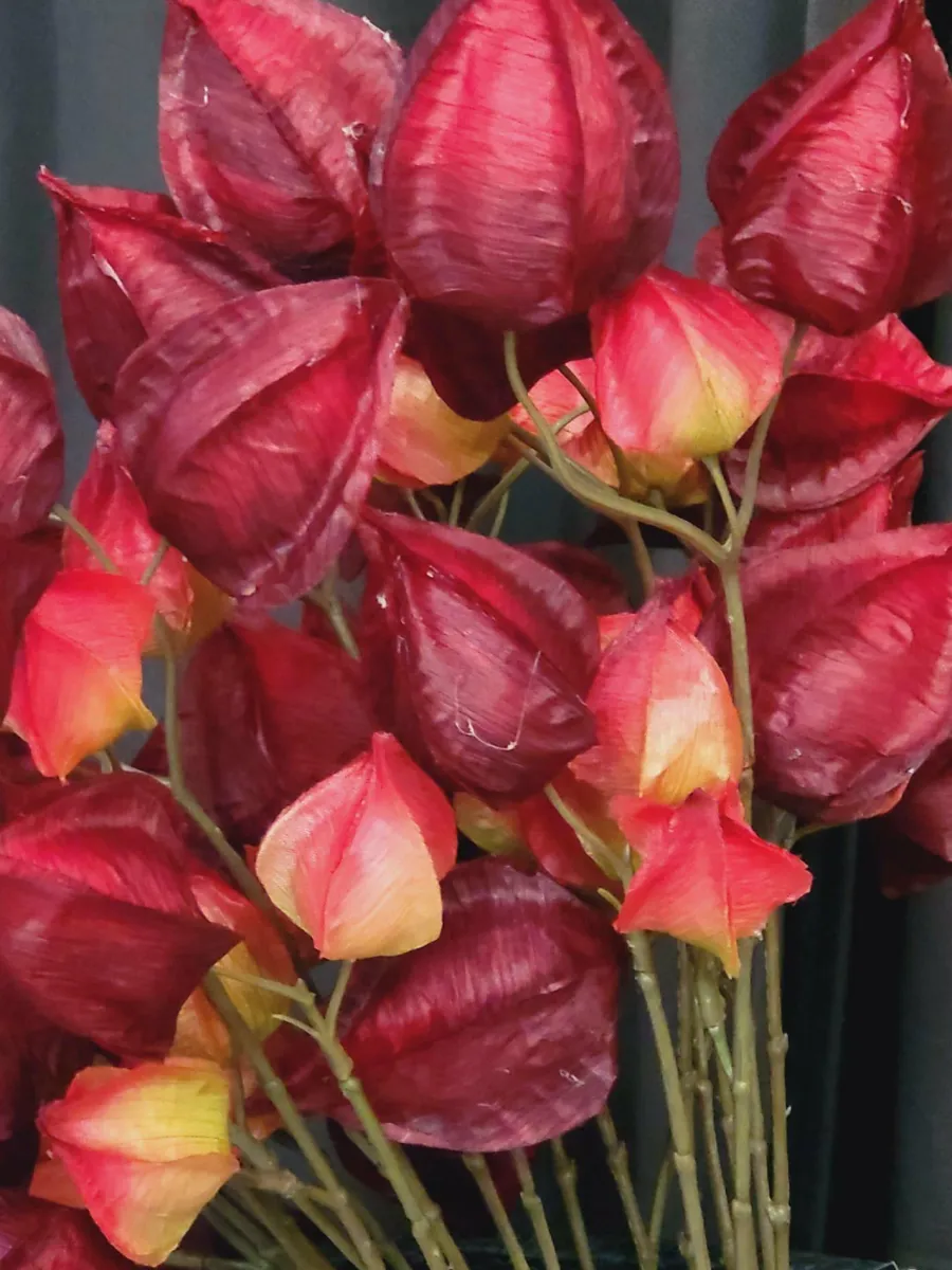 Countryfield Kunsttak Physalis vuur rood Best