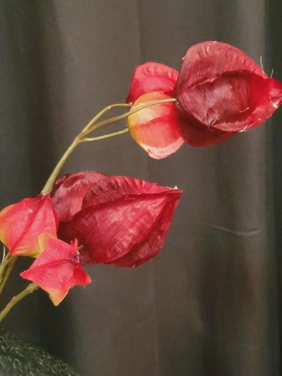 Countryfield Kunsttak Physalis vuur rood Best