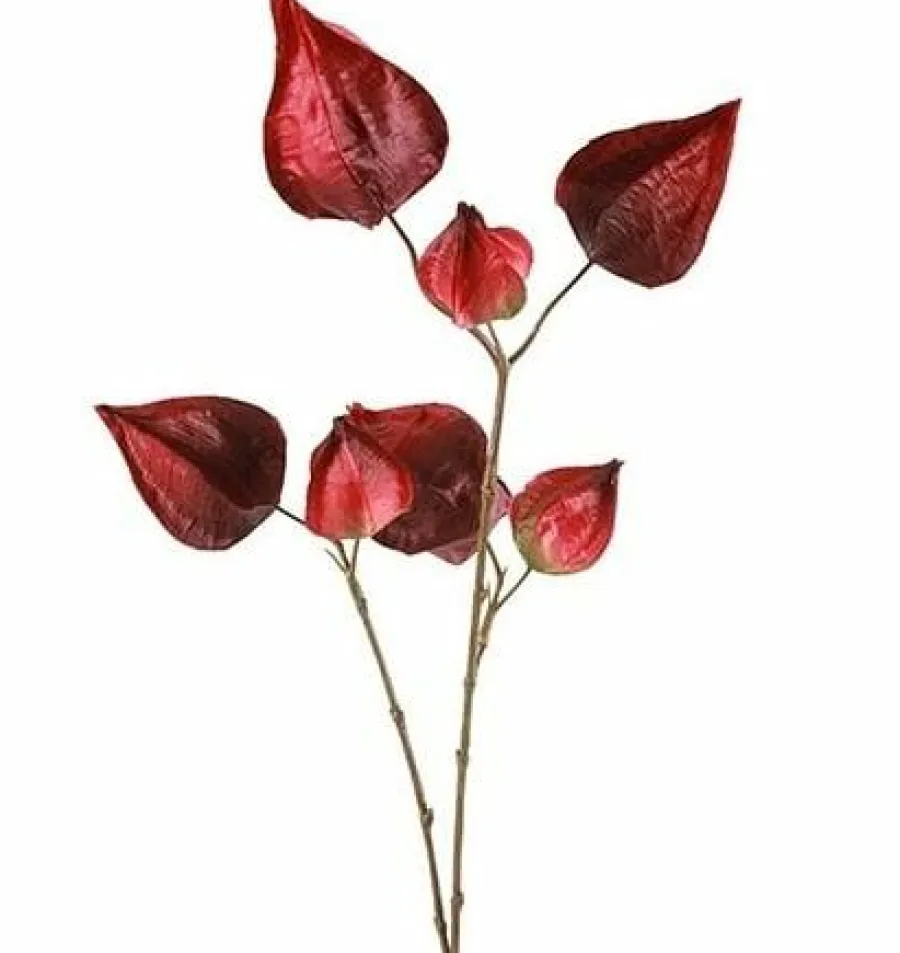 Countryfield Kunsttak Physalis vuur rood Best