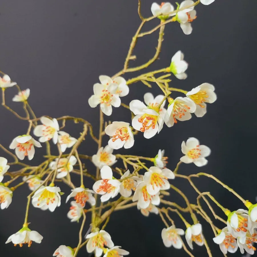 Countryfield Kunsttak Prunus Mume S wit Clearance