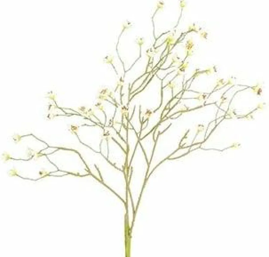 Countryfield Kunsttak Prunus Mume S wit Clearance