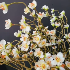 Countryfield Kunsttak Prunus Mume S wit Clearance