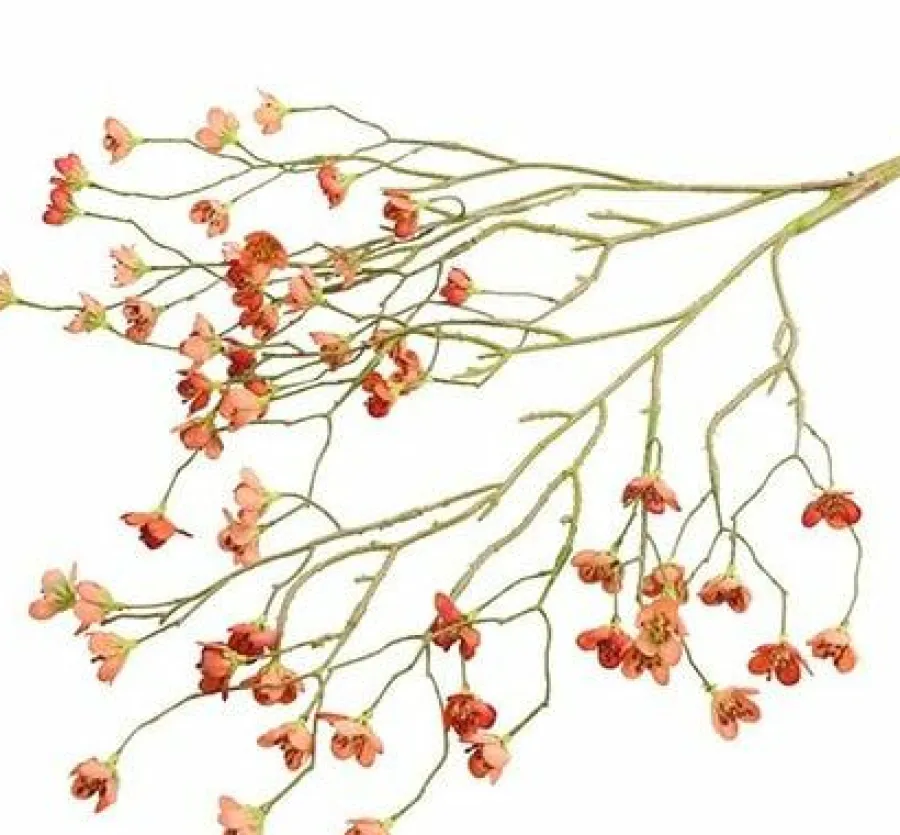 Countryfield Kunsttak Prunus Mume S rood Online