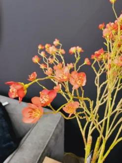 Countryfield Kunsttak Prunus Mume S rood Online