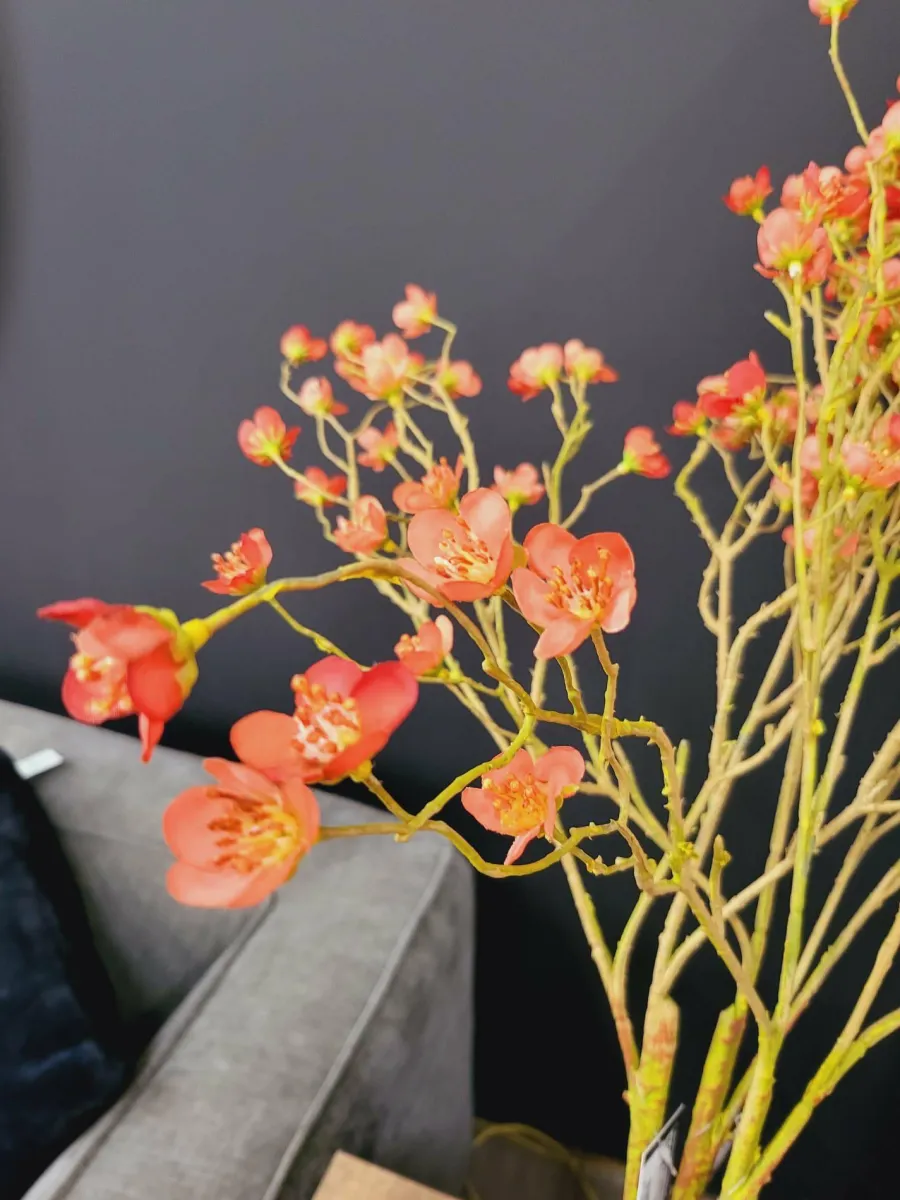 Countryfield Kunsttak Prunus Mume S rood Online