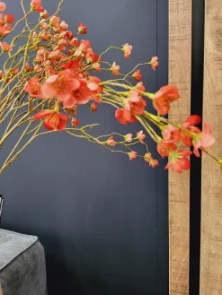 Countryfield Kunsttak Prunus Mume S rood Online