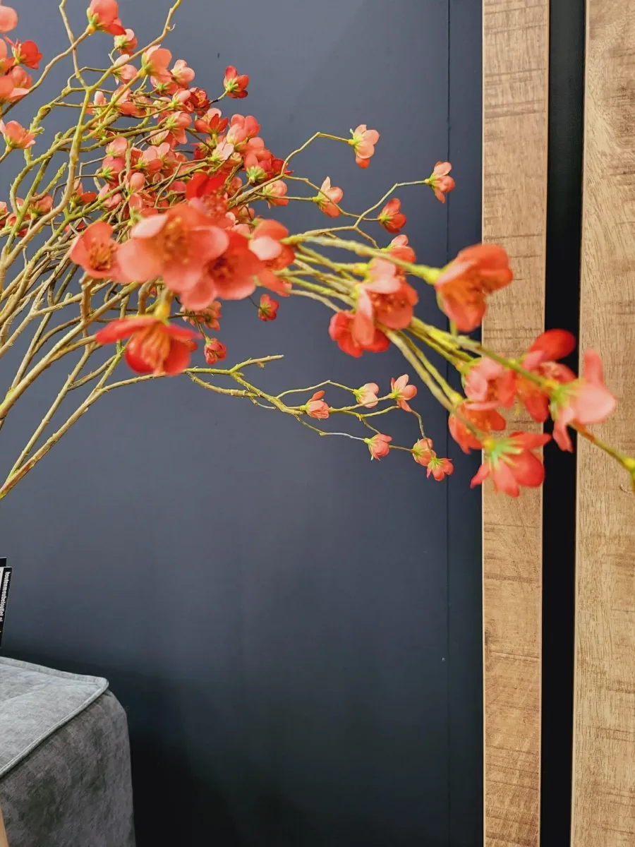 Countryfield Kunsttak Prunus Mume S rood Online