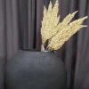 Countryfield Kunsttak Sorghum beige Sale