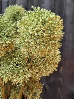 Countryfield Kunsttak Viburnum S groen of geel Outlet