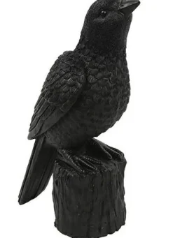 Countryfield Ornament Vogel Karolus L zwart Clearance
