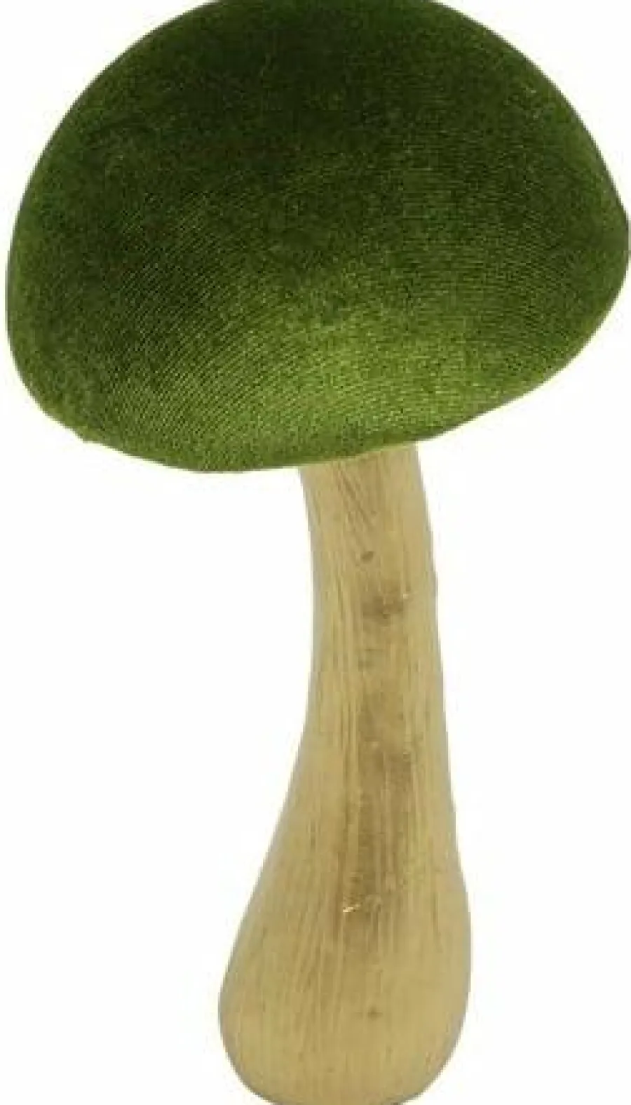 Countryfield Paddestoel Fungo L groen Online
