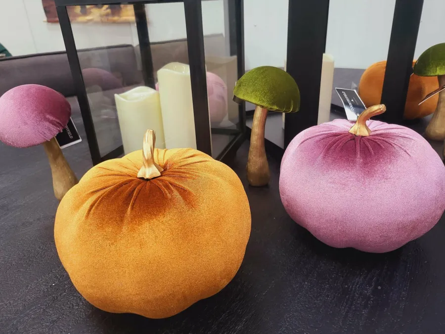 Countryfield Pompoen Pumpa L oranje / bruin Clearance