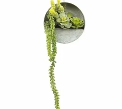 Countryfield Senecio groen met hangbakje