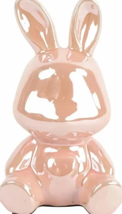 Countryfield Spaarhaas Pascal L roze New