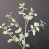Countryfield Tak Eucalyptus groen 3 Hot