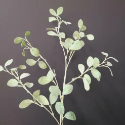 Countryfield Tak Eucalyptus groen 3 Hot
