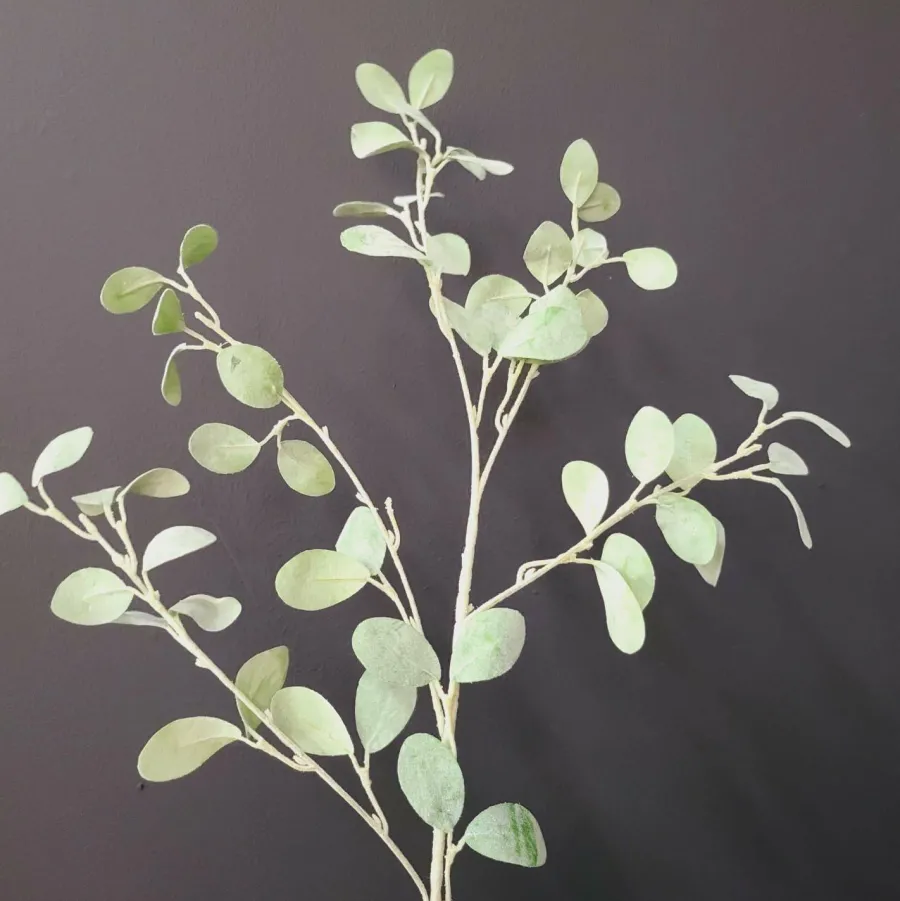 Countryfield Tak Eucalyptus groen 3 Hot