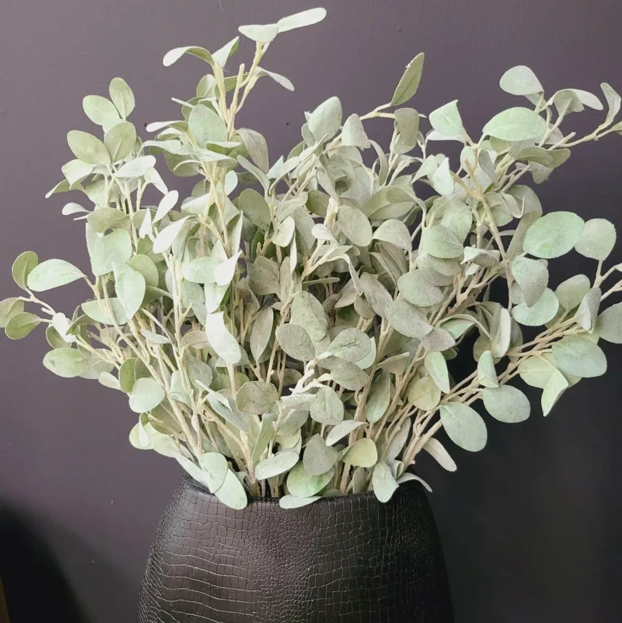 Countryfield Tak Eucalyptus groen 3 Hot
