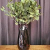Countryfield Tak Eucalyptus groen 2 Hot