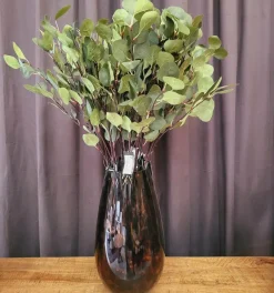 Countryfield Tak Eucalyptus groen 2 Hot