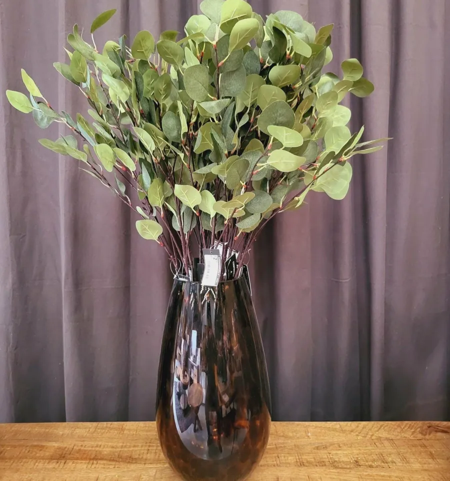 Countryfield Tak Eucalyptus groen 2 Hot