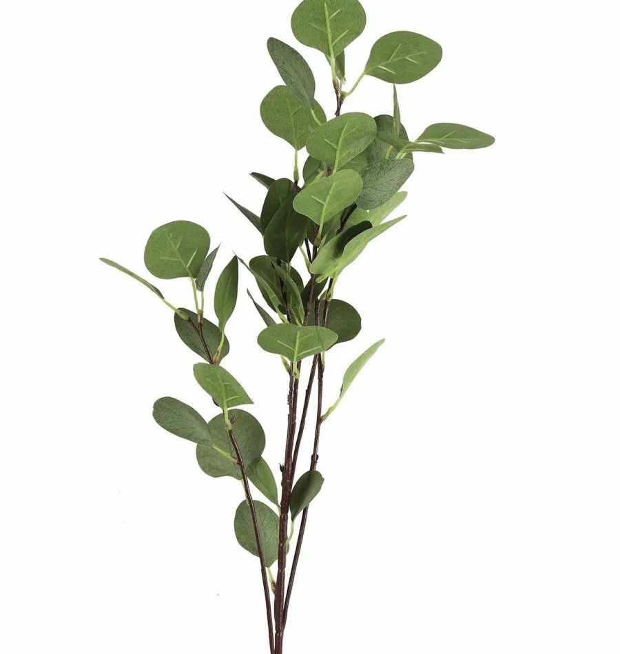 Countryfield Tak Eucalyptus groen 2 Hot