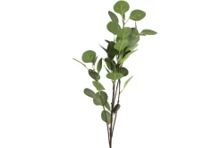 Countryfield Tak Eucalyptus groen 2 Hot