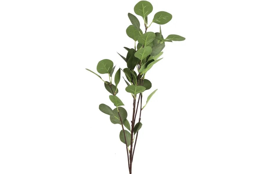 Countryfield Tak Eucalyptus groen 2 Hot